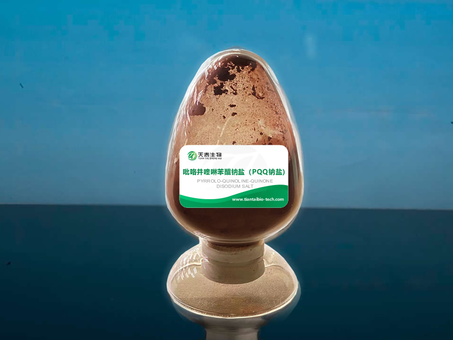 圖片6.png 圖片6.png