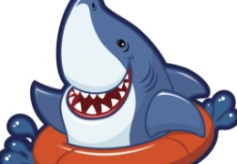 食品原料小百科：硫酸軟骨素可以用在什么地方？