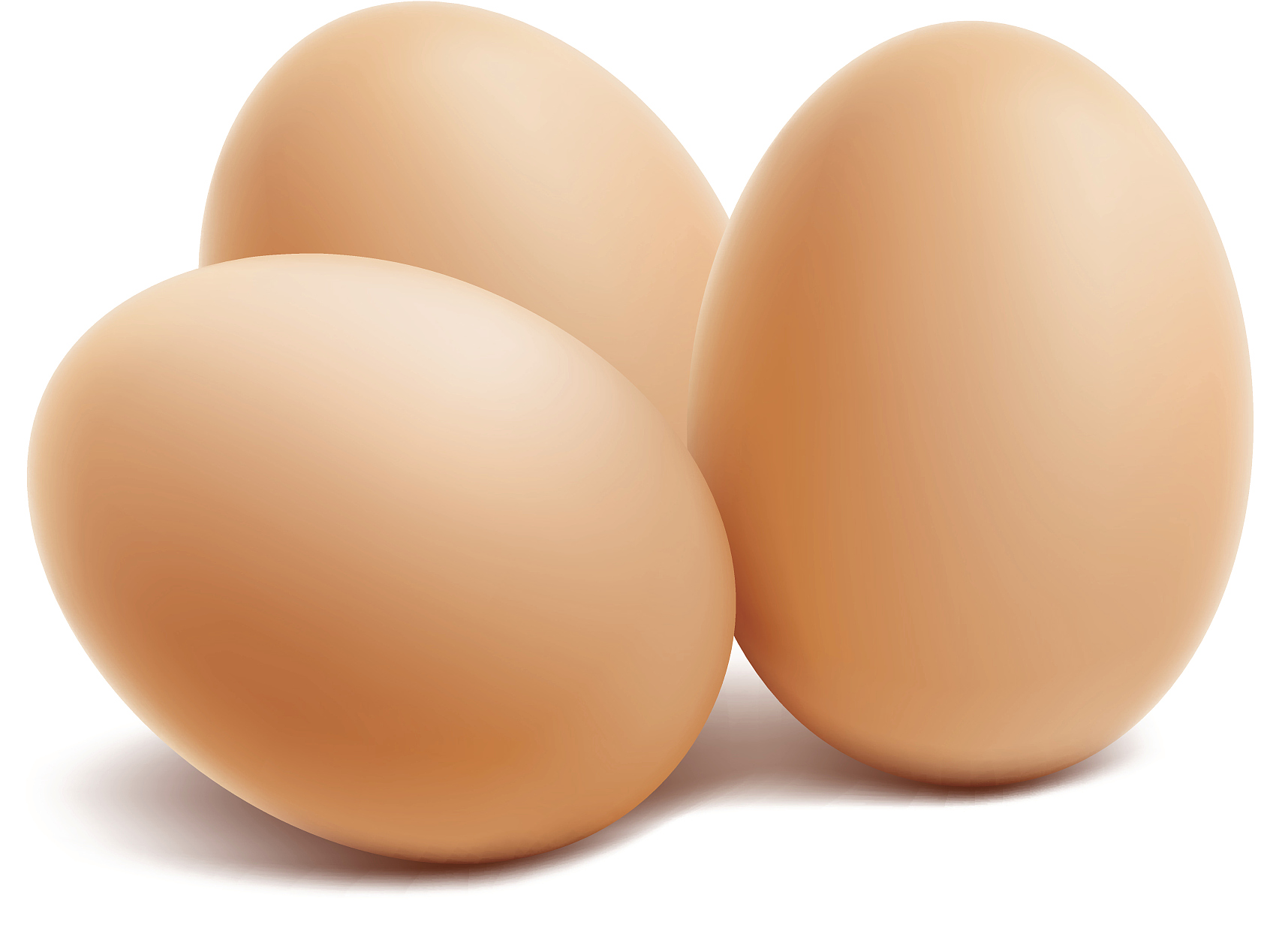 圖片9.png 圖片9.png